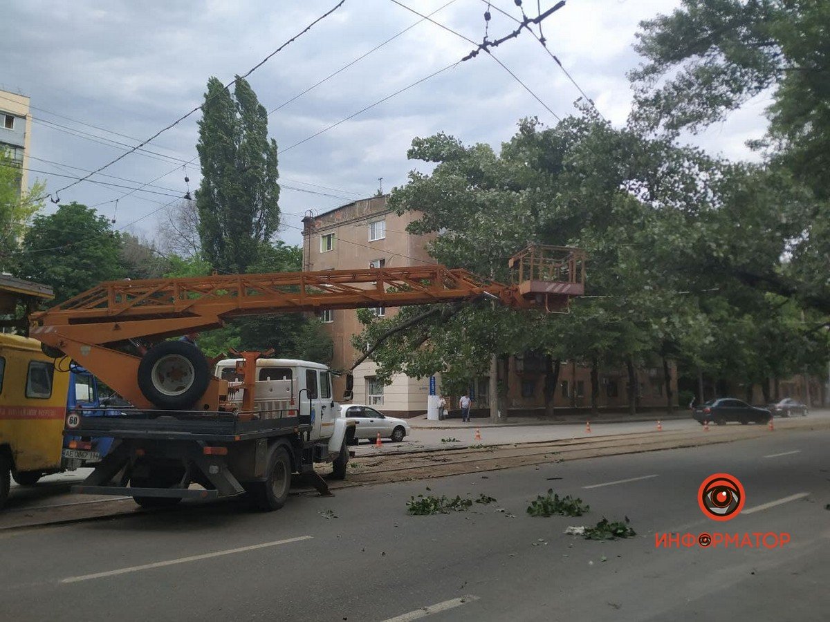 Тополь висит на проводах