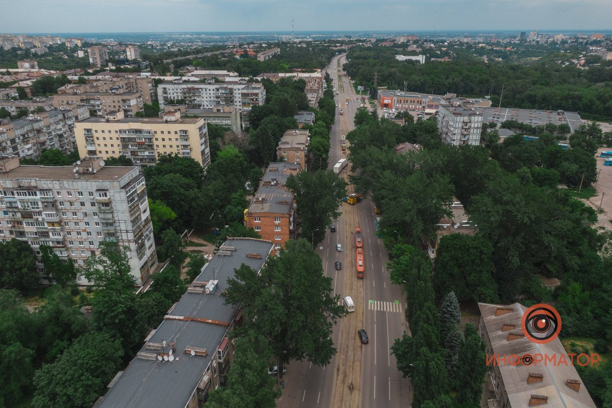 В ближайшее время дерево должны убрать