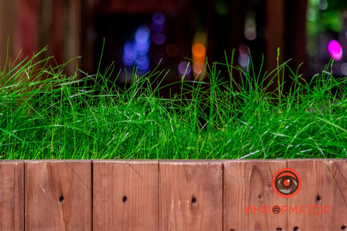 Летнее настроение