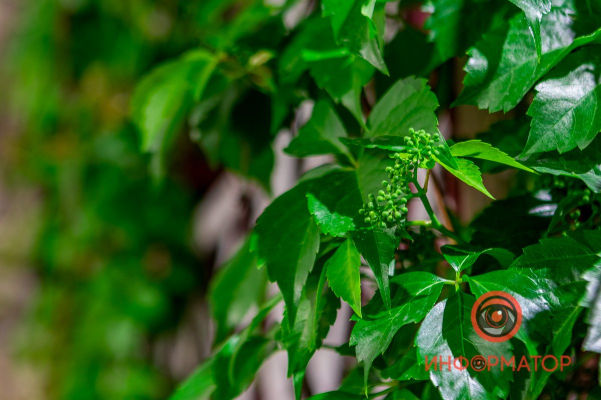 Красота в деталях