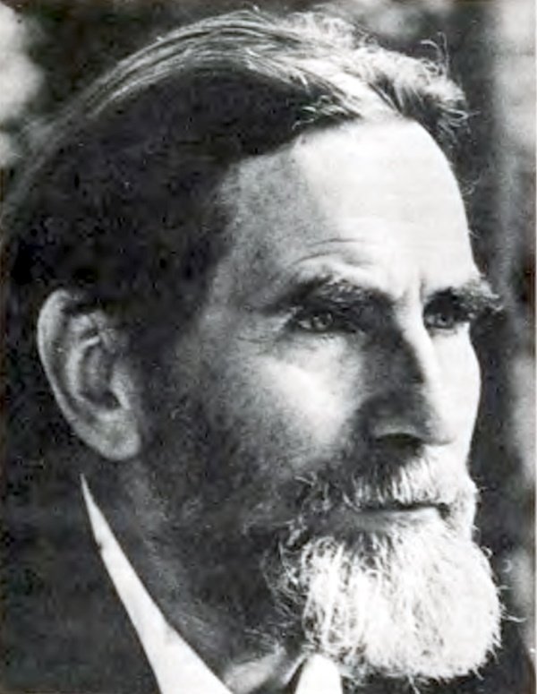 Библиотека Информатора: топ произведений украинских авторов 3