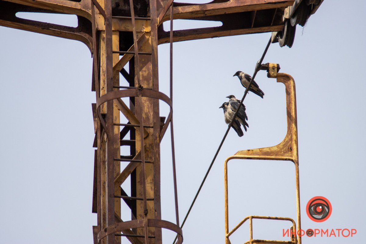 Всегда тут Всегда тут