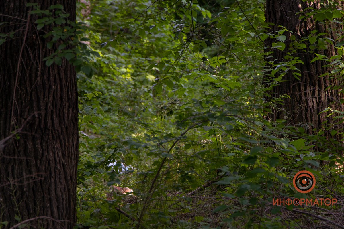 Мужчине было около 45 лет