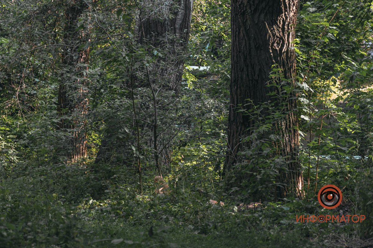 Умершего нашли без одежды