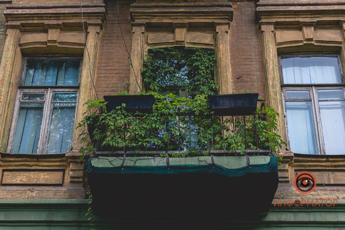 Живой уголок