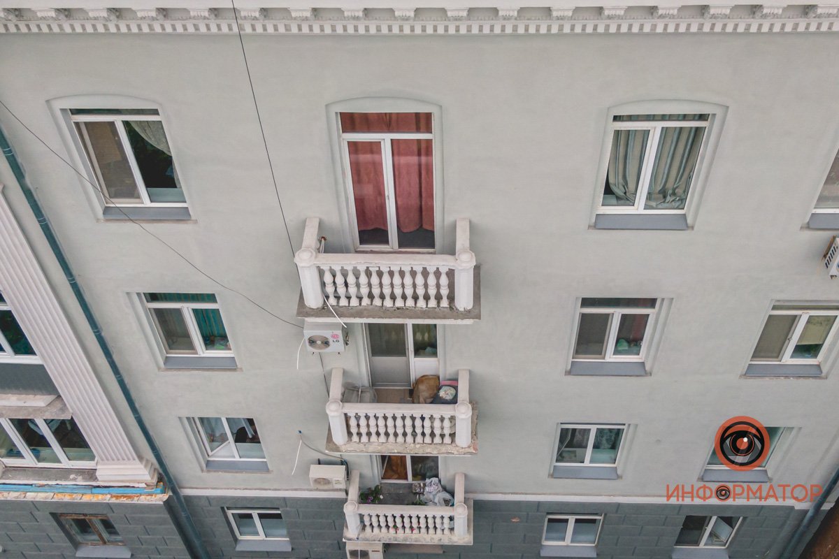 Птички видят такое каждый день