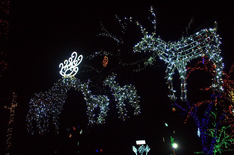 Днепр готов к празднованию Нового года (ФОТО) 11