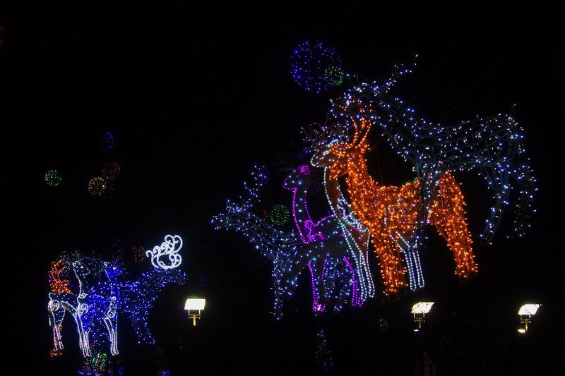 Днепр готов к празднованию Нового года (ФОТО) 19