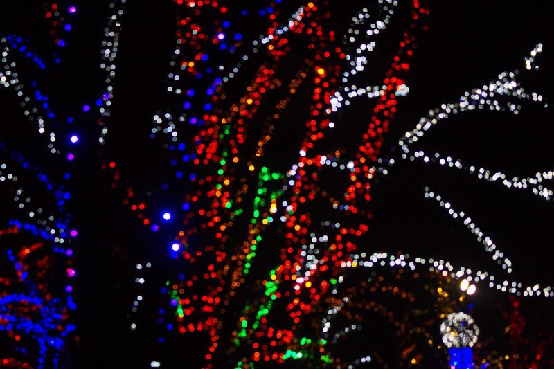 Днепр готов к празднованию Нового года (ФОТО) 22