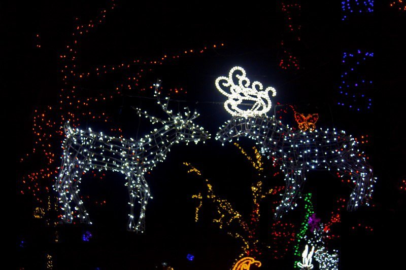 Днепр готов к празднованию Нового года (ФОТО) 24