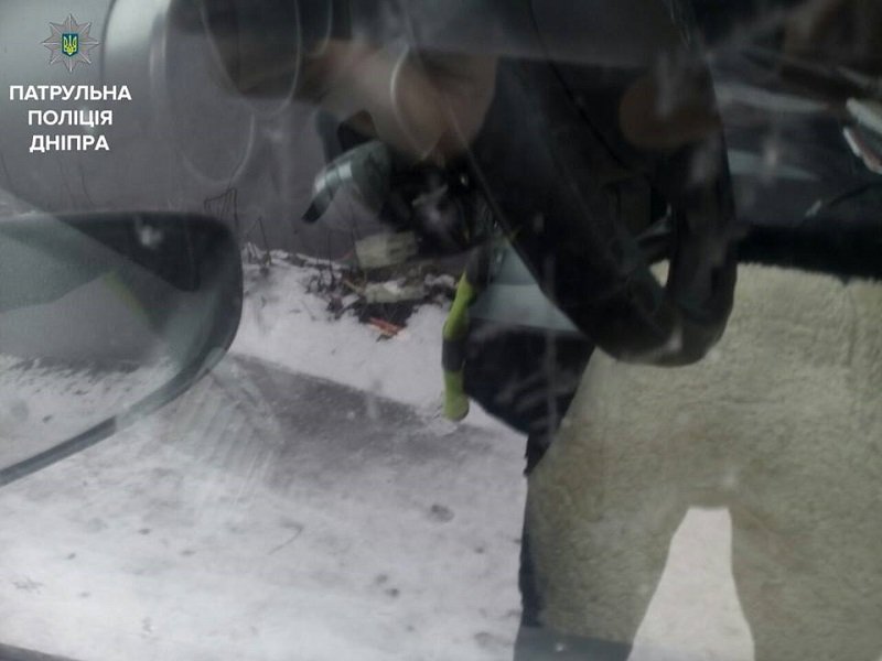Полиция Днепра предотвратила кражу авто (ФОТО) 1