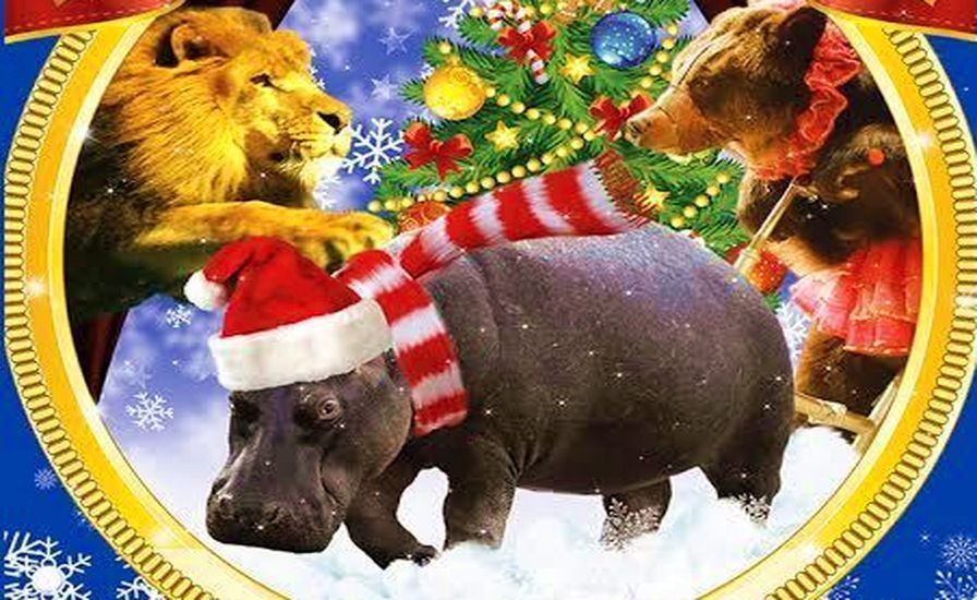 4 января в Днепре: куда пойти сегодня 1