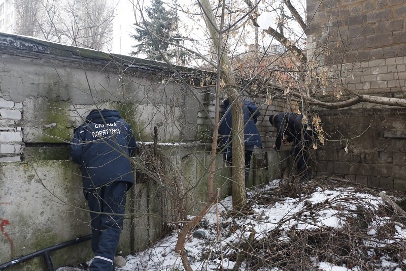 В Днепре больше двух часов спасали застрявшую собаку (ФОТО, ВИДЕО) 1