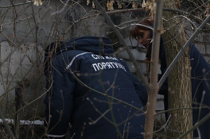 В Днепре больше двух часов спасали застрявшую собаку (ФОТО, ВИДЕО) 2