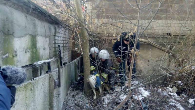 В Днепре больше двух часов спасали застрявшую собаку (ФОТО, ВИДЕО) 6