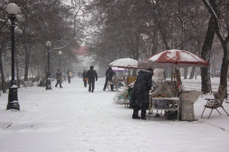 В Днепре выпал сильный снег: как выглядит город сейчас (ФОТО) 3