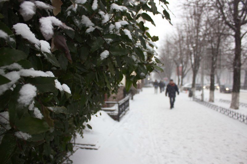 В Днепре выпал сильный снег: как выглядит город сейчас (ФОТО) 5