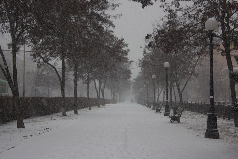 В Днепре выпал сильный снег: как выглядит город сейчас (ФОТО) 7