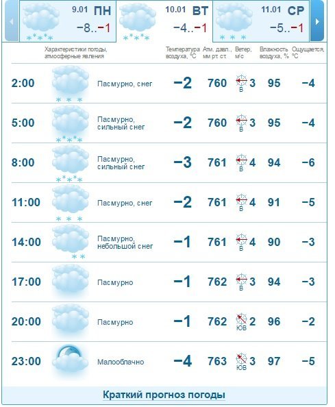 Погода на 10 января: в Днепре пасмурно и снежно 2