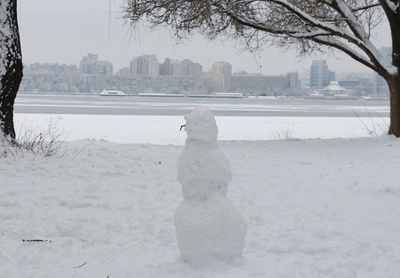 Днепр заполонили снеговики (ФОТО) 12