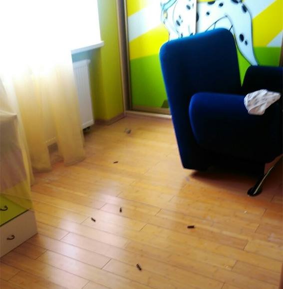 Разборки под Днепром: подробности обстрела полиции и взятия заложников (ФОТО, ВИДЕО) 5