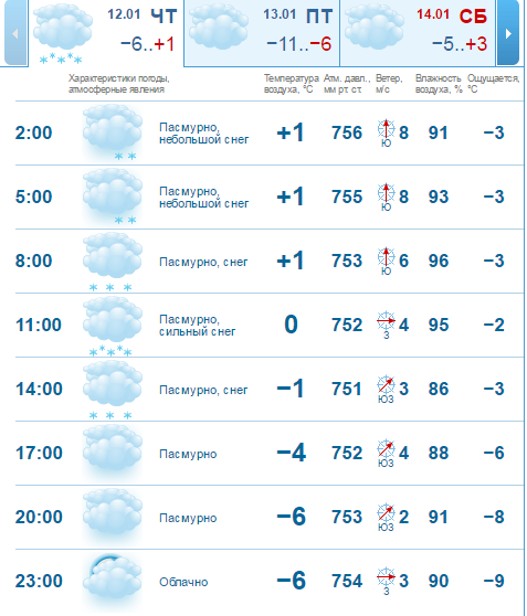 Погода 12 января: в Днепре будет снежно и пасмурно 2