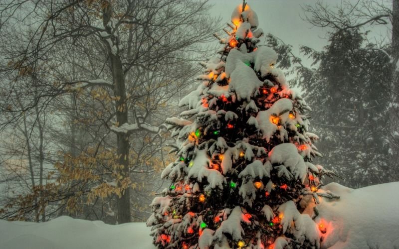 15 января в Днепре: куда сегодня пойти 4