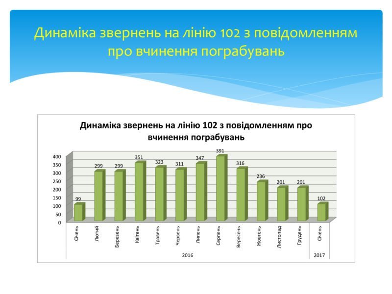 Итоги года работы патрульной полиции Днепра (ИНФОГРАФИКА) 2