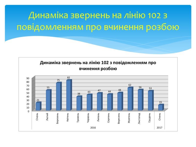 Итоги года работы патрульной полиции Днепра (ИНФОГРАФИКА) 4