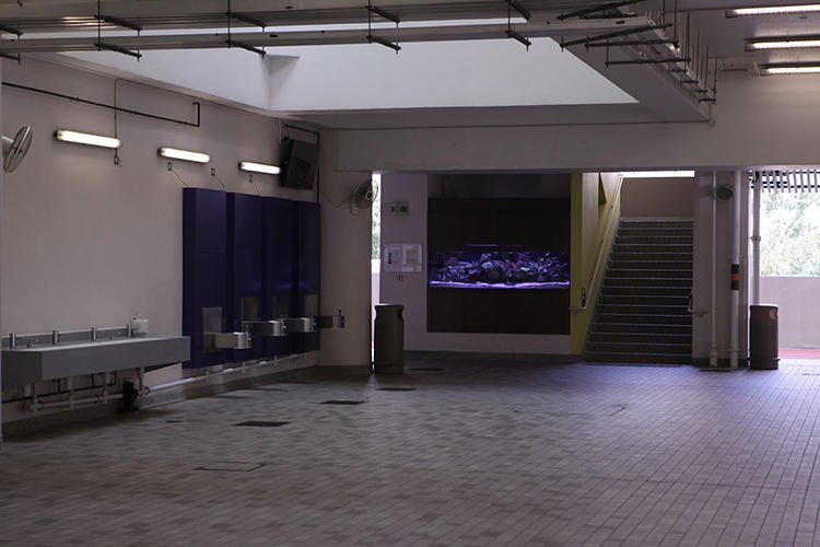 ТОП-5 самых необычных школ на планете (ФОТО) 6