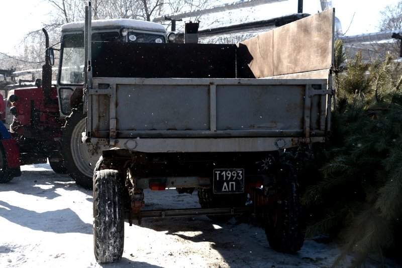 Получи ответ: куда деваются в Днепре новогодние елки (ФОТО, ВИДЕО) 3