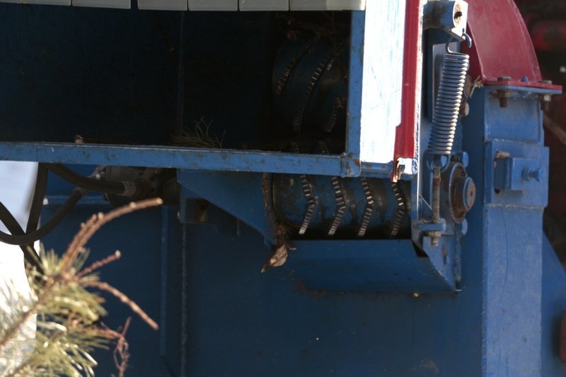 Получи ответ: куда деваются в Днепре новогодние елки (ФОТО, ВИДЕО) 4