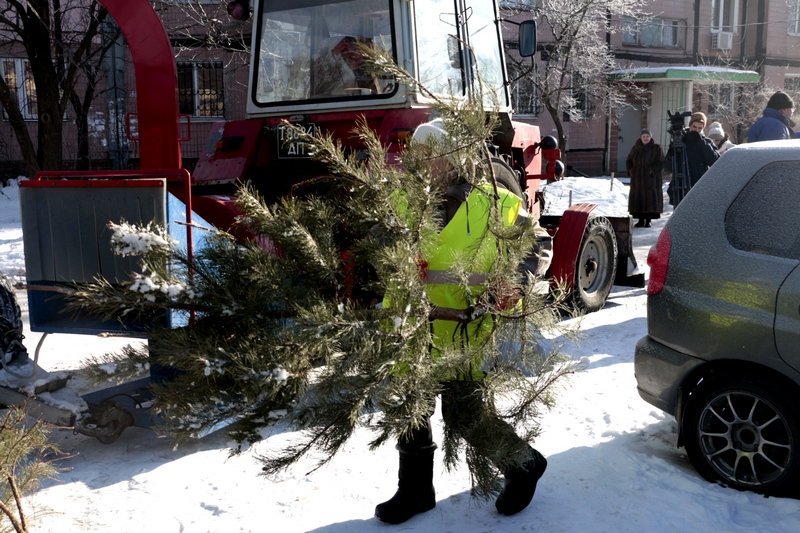 Получи ответ: куда деваются в Днепре новогодние елки (ФОТО, ВИДЕО) 6