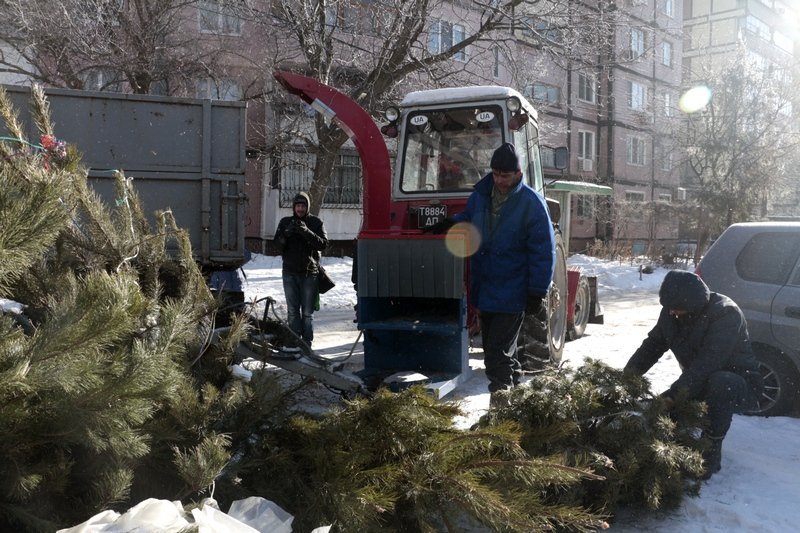 Получи ответ: куда деваются в Днепре новогодние елки (ФОТО, ВИДЕО) 7