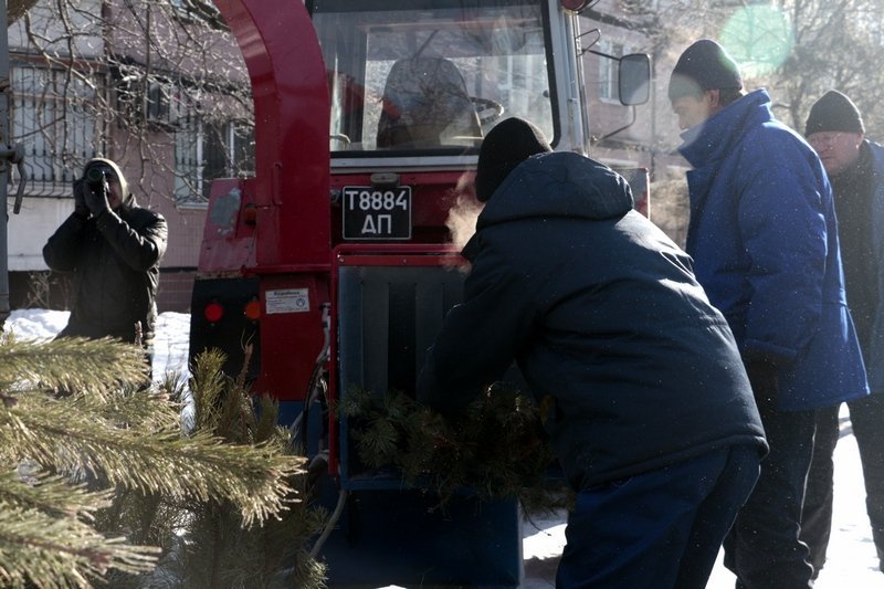 Получи ответ: куда деваются в Днепре новогодние елки (ФОТО, ВИДЕО) 8