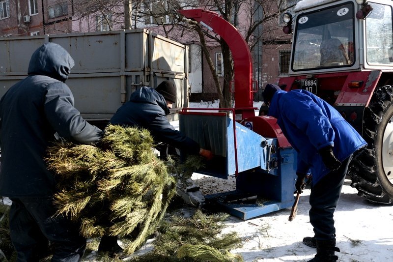 Получи ответ: куда деваются в Днепре новогодние елки (ФОТО, ВИДЕО) 9