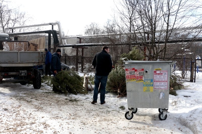 Получи ответ: куда деваются в Днепре новогодние елки (ФОТО, ВИДЕО) 11