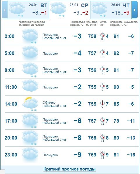 Погода 25 января: в Днепре будет пасмурно и снежно 2