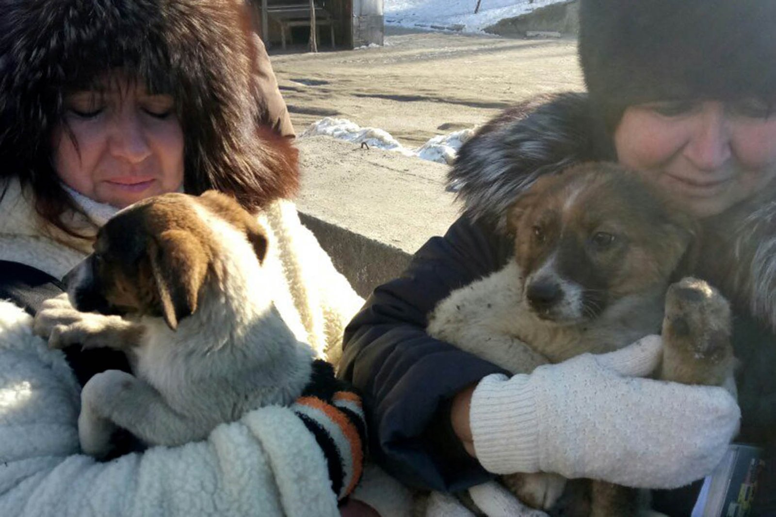 Минутка добра: в Днепре спасатели освободили щенят из бетонной ловушки (ФОТО) 2