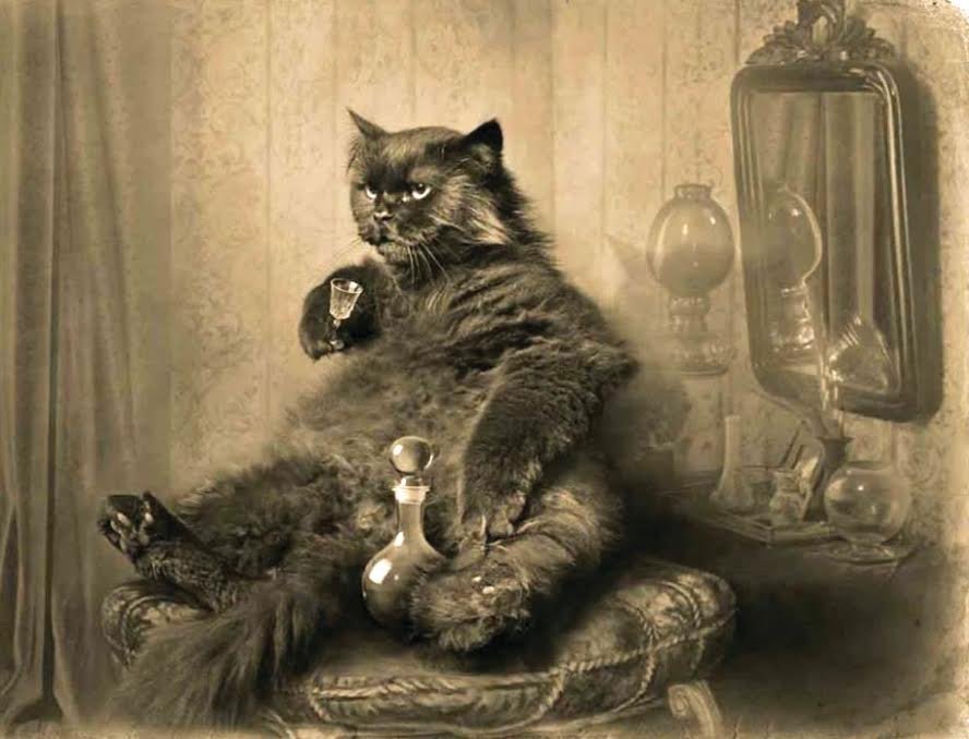 1 февраля в Днепре: куда пойти сегодня 1