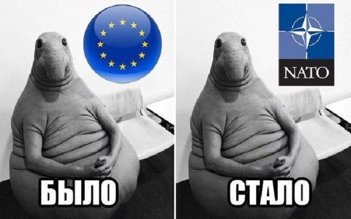 Кто такой Ждун и почему он везде: история загадочного существа (ФОТО) 9