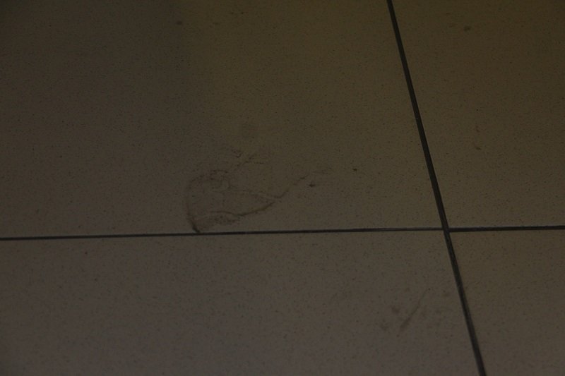 Ревизия «по-большому» и «по-маленькому»: в центре Днепра предлагают платно "сходить в гаражи" (ФОТО) 11