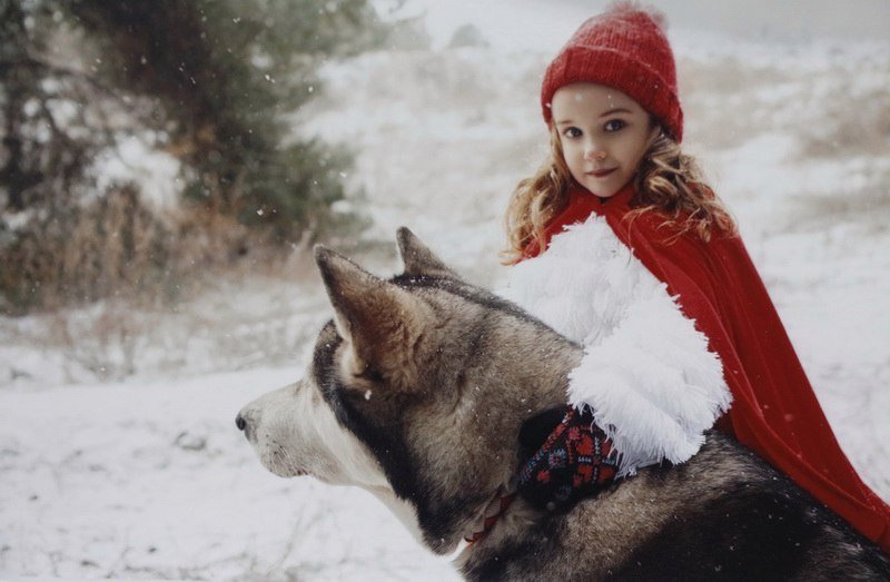 В Днепре открылась экофотовыставка «Зимняя сказка на природе» (ФОТО) 5