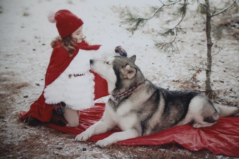 В Днепре открылась экофотовыставка «Зимняя сказка на природе» (ФОТО) 6