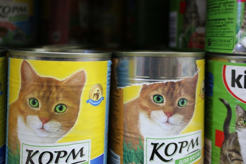 Проверено Информатором: плюсы и минусы супермаркета "Сильпо" в центре Днепра (ФОТО) 20