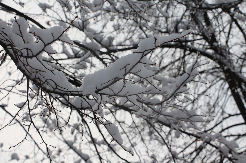 Сказочный Днепр: в город вернулась настоящая зима (ФОТО) 1