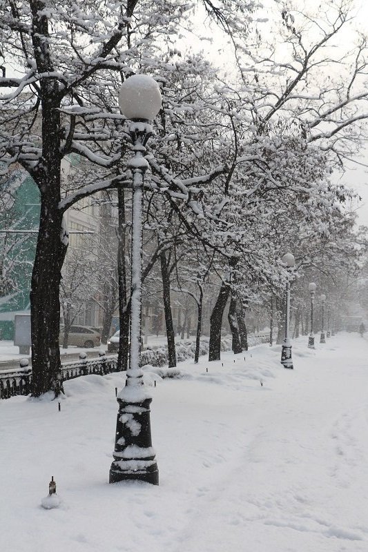 Сказочный Днепр: в город вернулась настоящая зима (ФОТО) 2