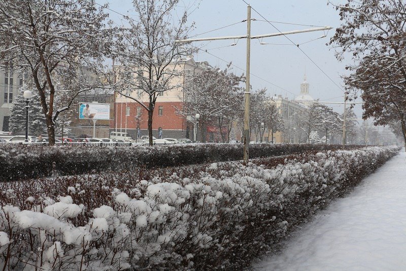 Сказочный Днепр: в город вернулась настоящая зима (ФОТО) 10