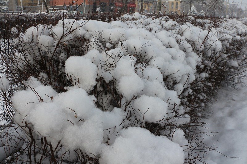 Сказочный Днепр: в город вернулась настоящая зима (ФОТО) 12