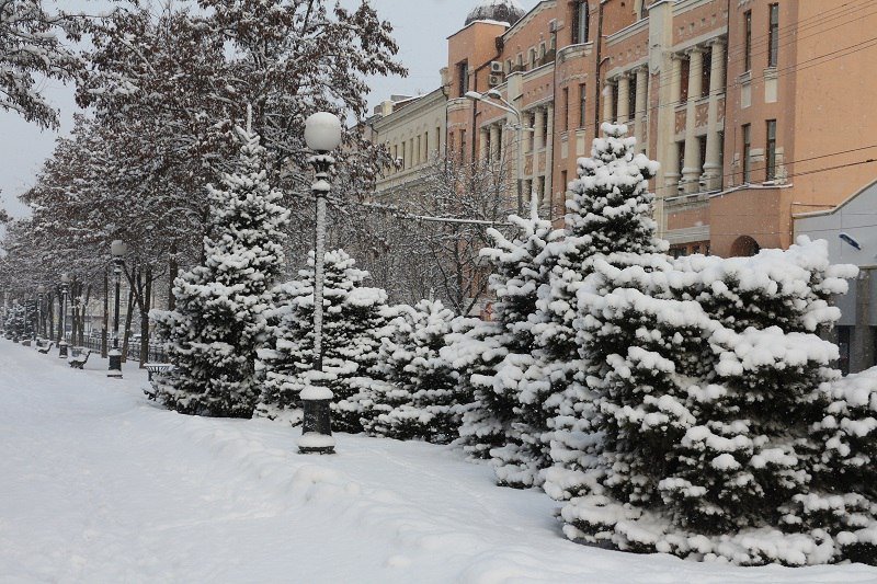 Сказочный Днепр: в город вернулась настоящая зима (ФОТО) 13